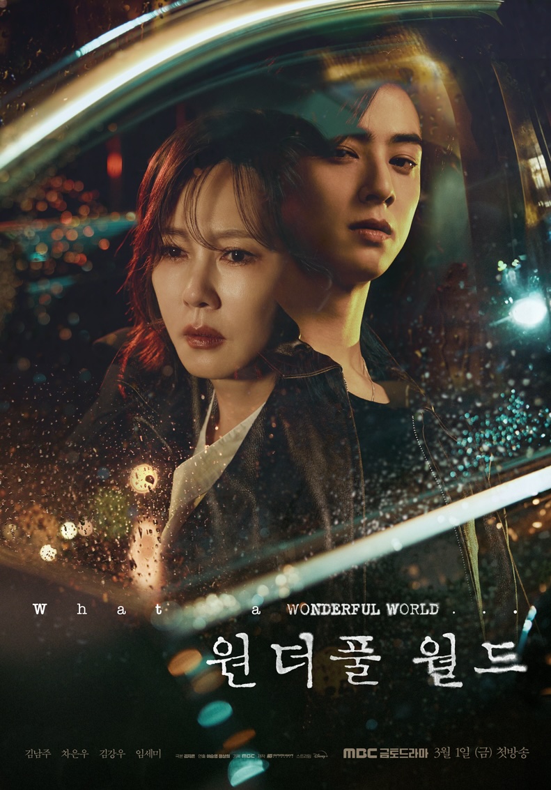 Wonderful World (Korean Drama)